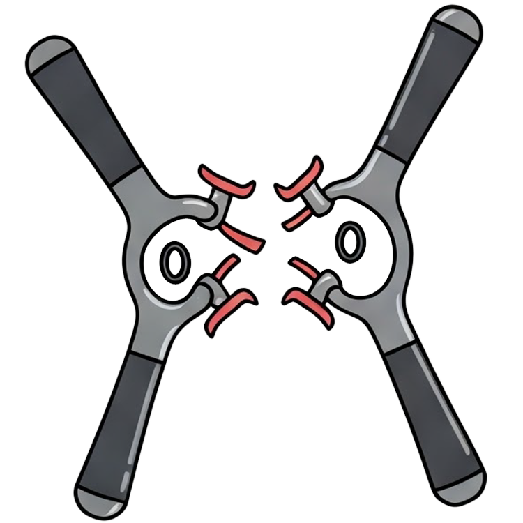 separate แปลว่า แยก