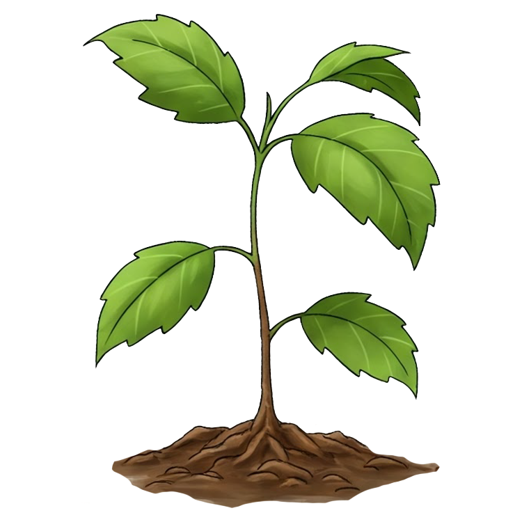 short แปลว่า สั้น