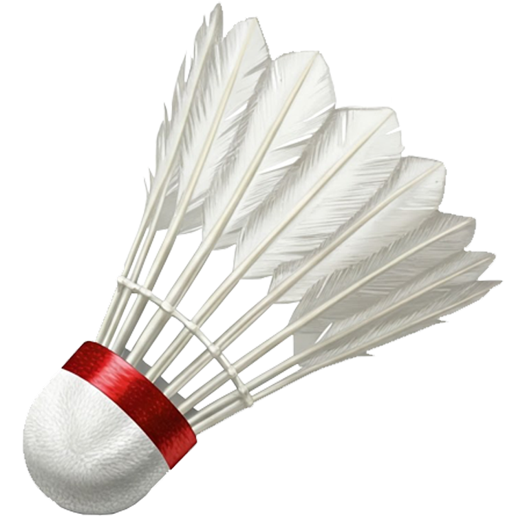 shuttlecock แปลว่า ลูกขนไก่