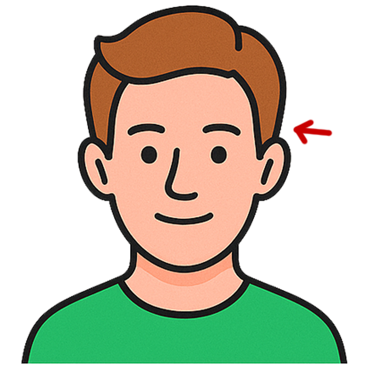 sideburns แปลว่า จอนผม