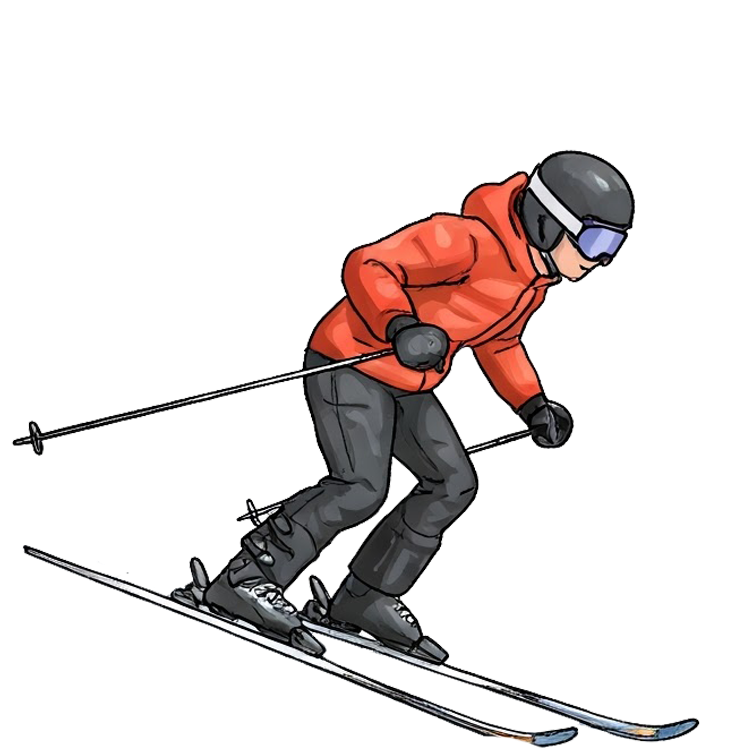 ski แปลว่า เล่นสกี