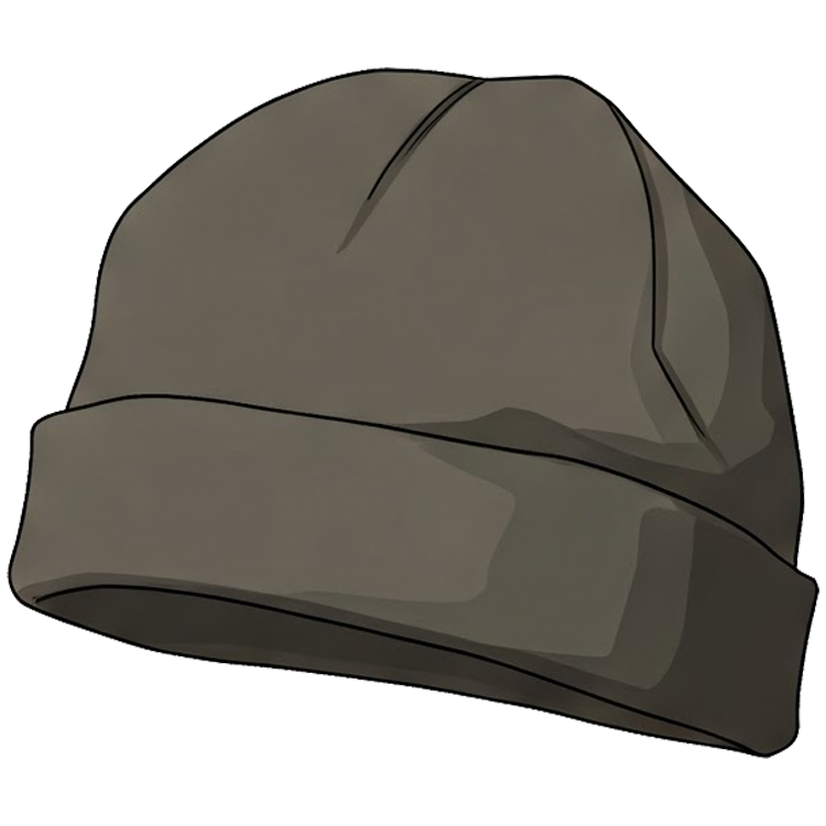 skull cap แปลว่า หมวกไม่มีขอบ