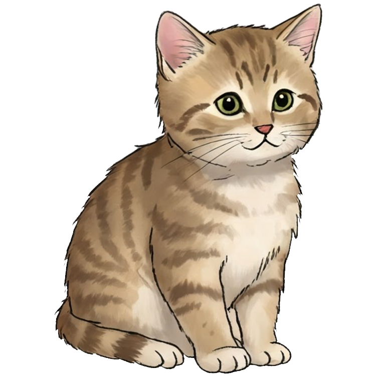 small แปลว่า เล็ก