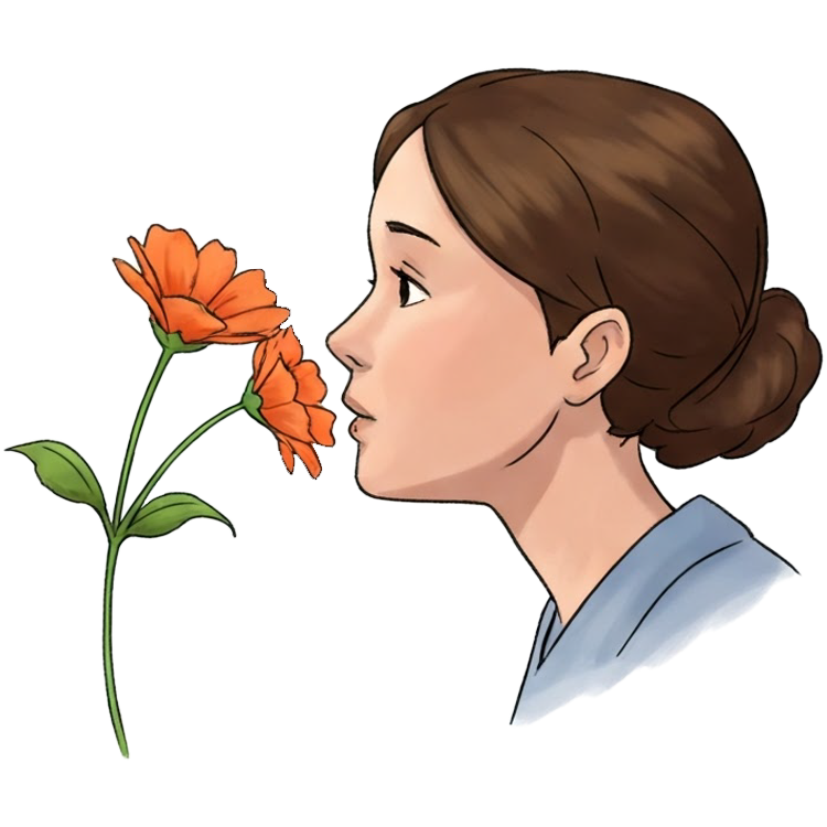 smell แปลว่า ดมกลิ่น