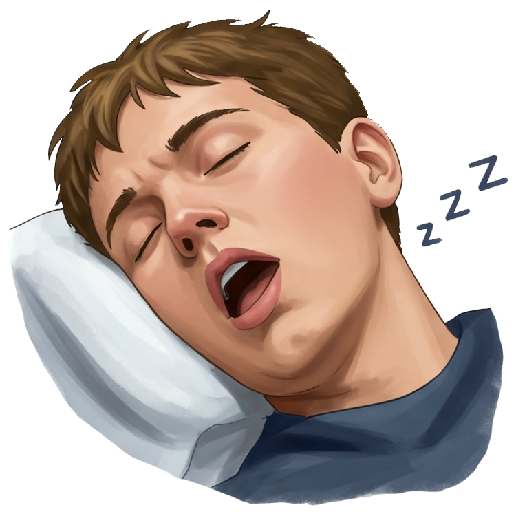 snore แปลว่า กรน