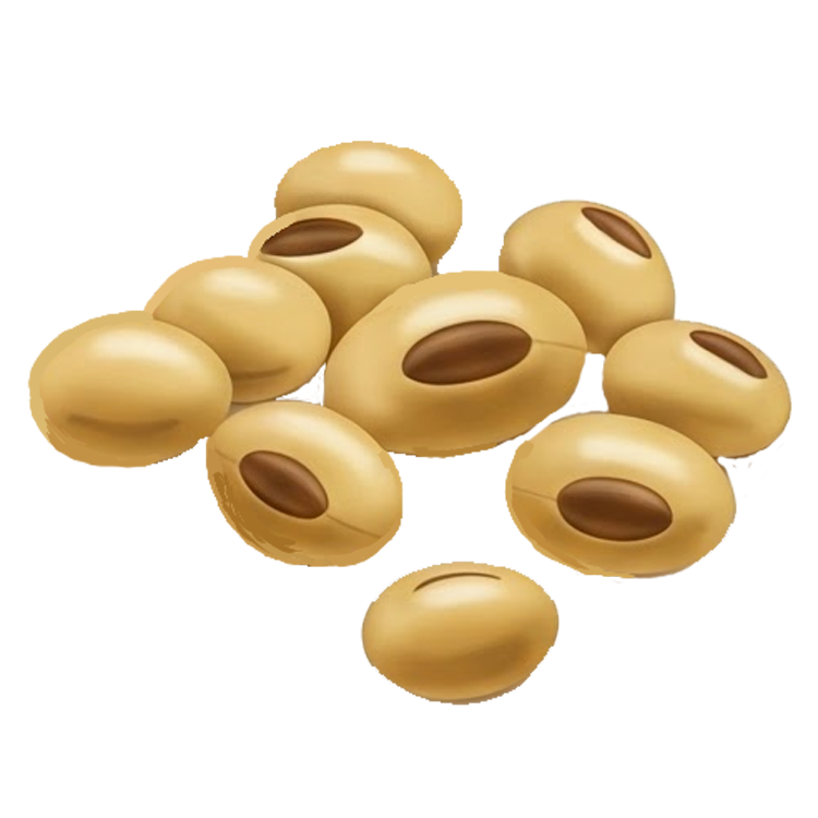 soybean แปลว่า ถั่วเหลือง