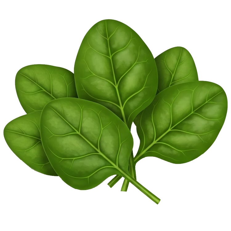 spinach แปลว่า ผักขม