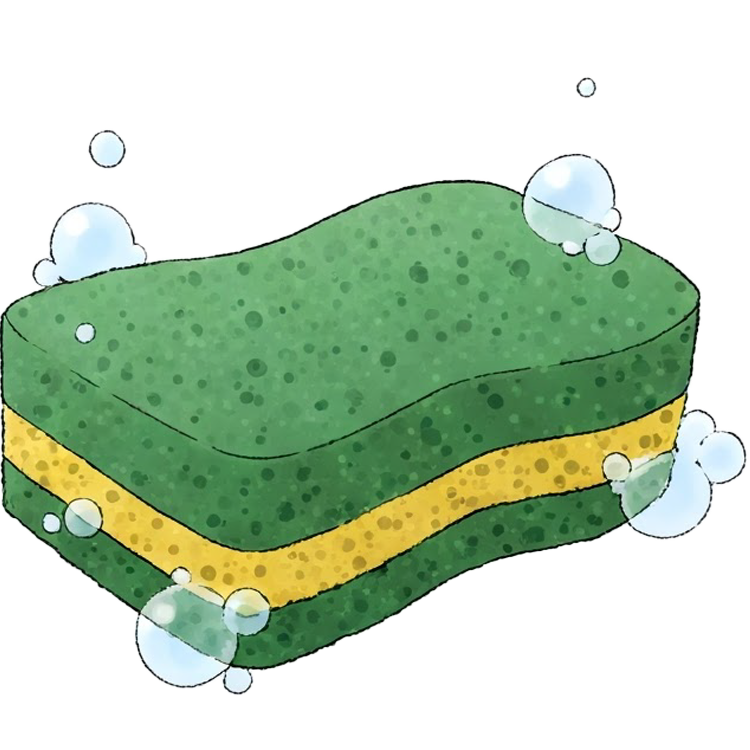 sponge แปลว่า ฟองน้ำ