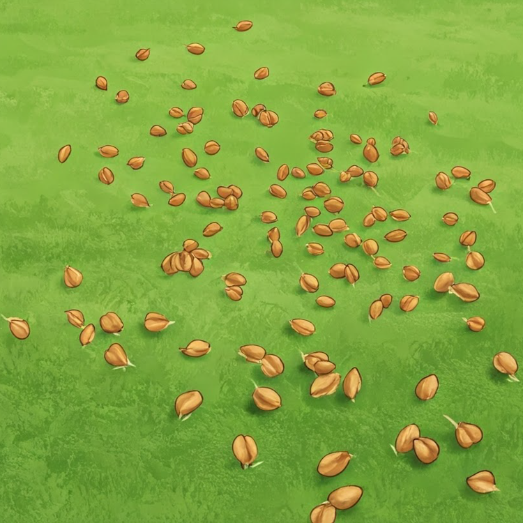 spread แปลว่า กระจายไปทั่ว