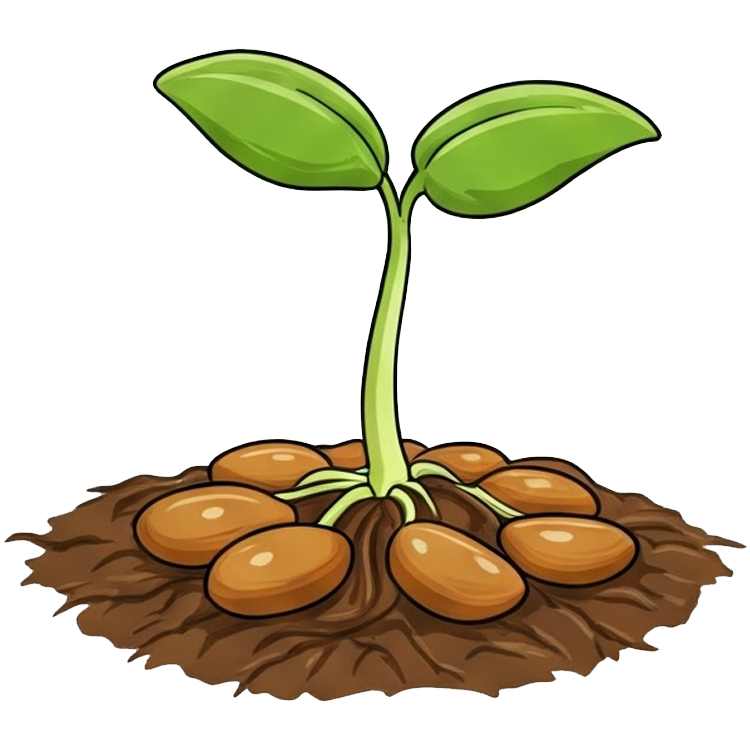 sprout แปลว่า แตกหน่อ