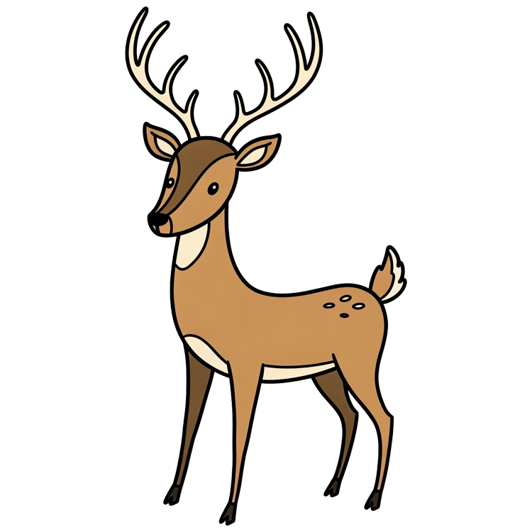 stag แปลว่า กวางตัวผู้