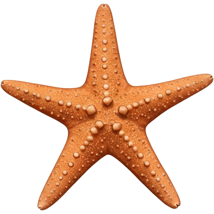 starfish แปลว่า ปลาดาว