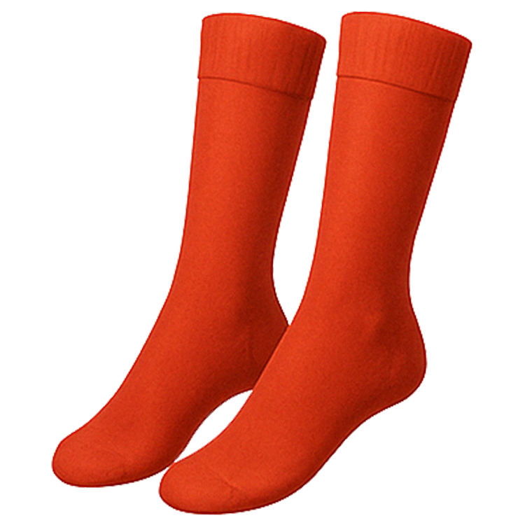 stocking แปลว่า ถุงเท้ายาว