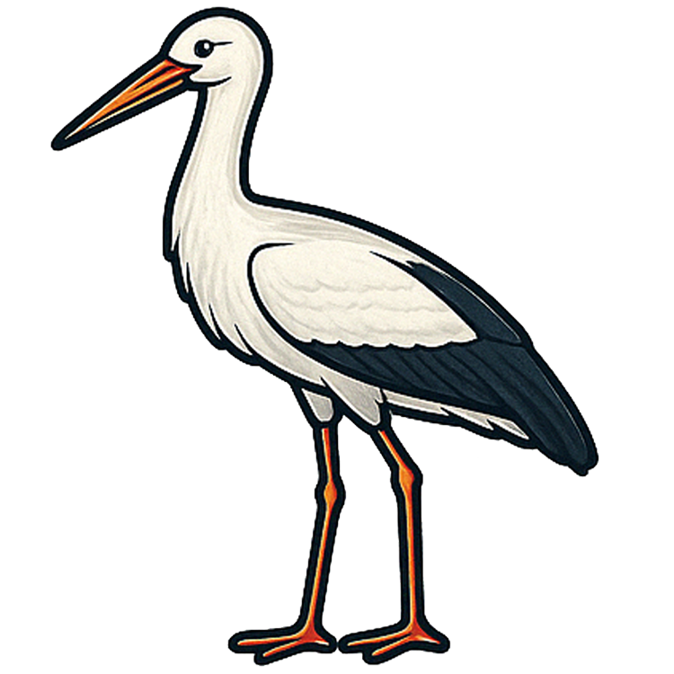 stork แปลว่า นกกระสา