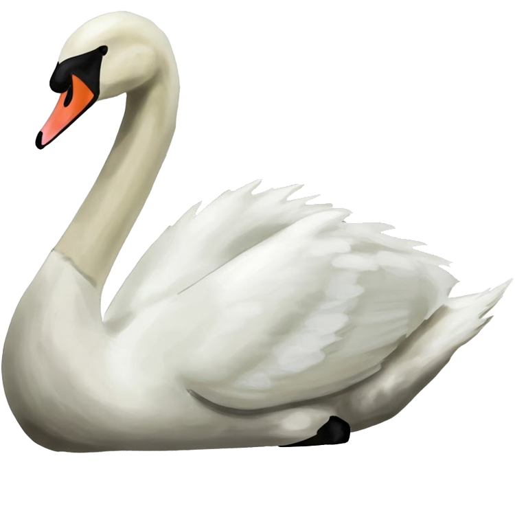 swan แปลว่า หงส์