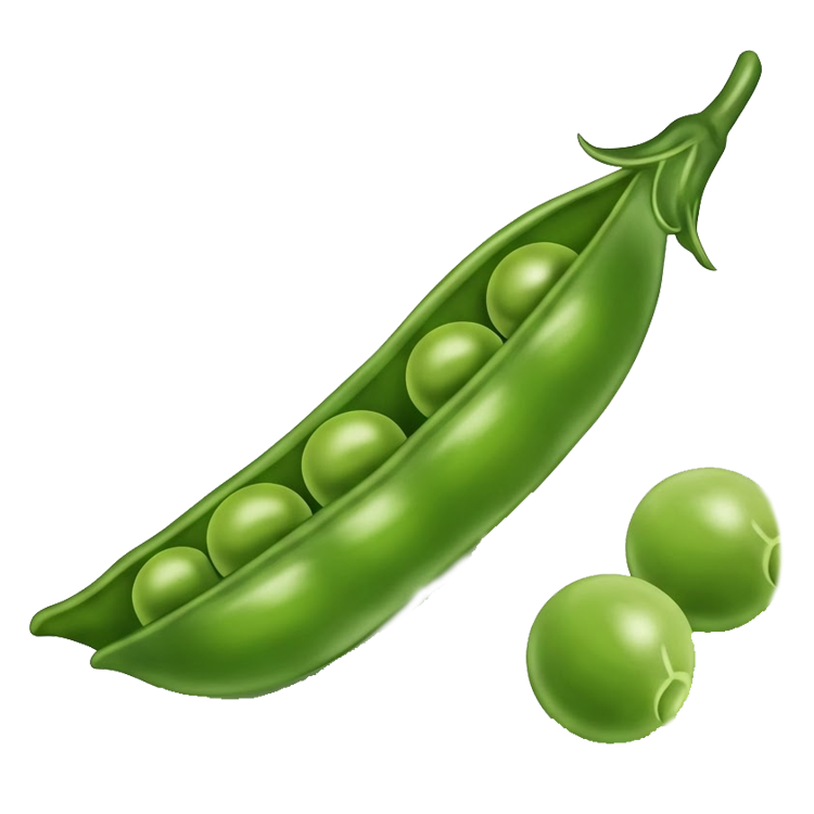 sweet pea แปลว่า ถั่วลันเตา