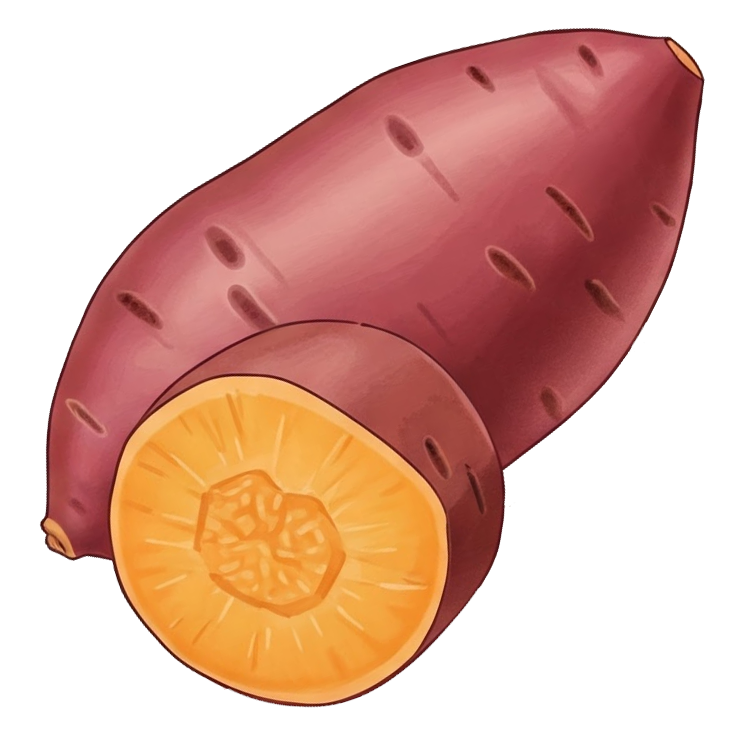 sweet potato แปลว่า มันเทศ