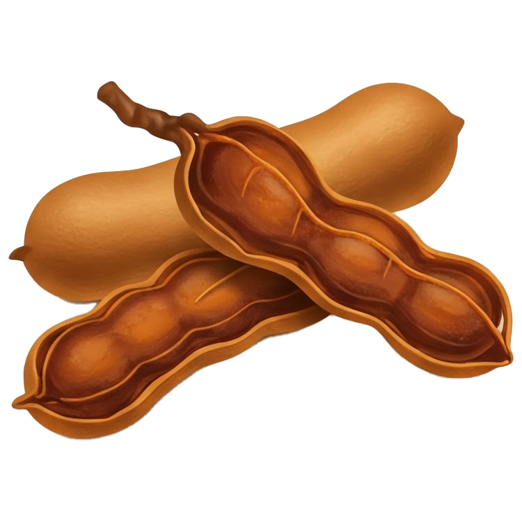 tamarind แปลว่า มะขาม