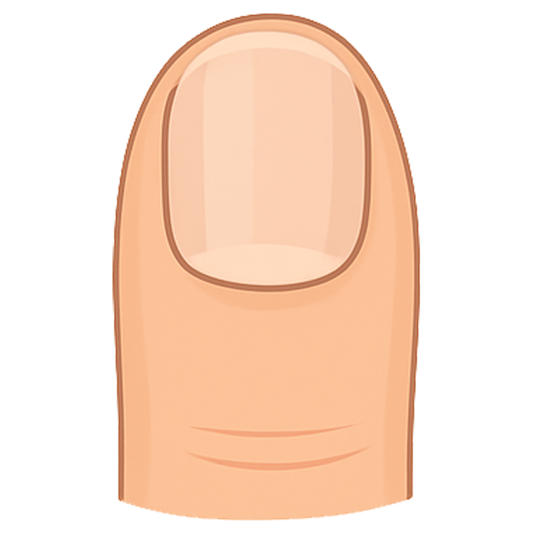 toenail แปลว่า เล็บเท้า