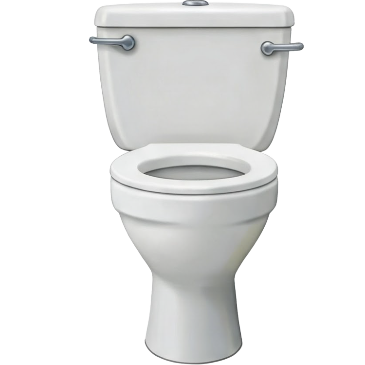 toilet แปลว่า โถส้วม