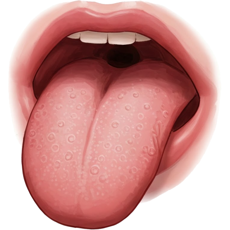 tongue แปลว่า ลิ้น