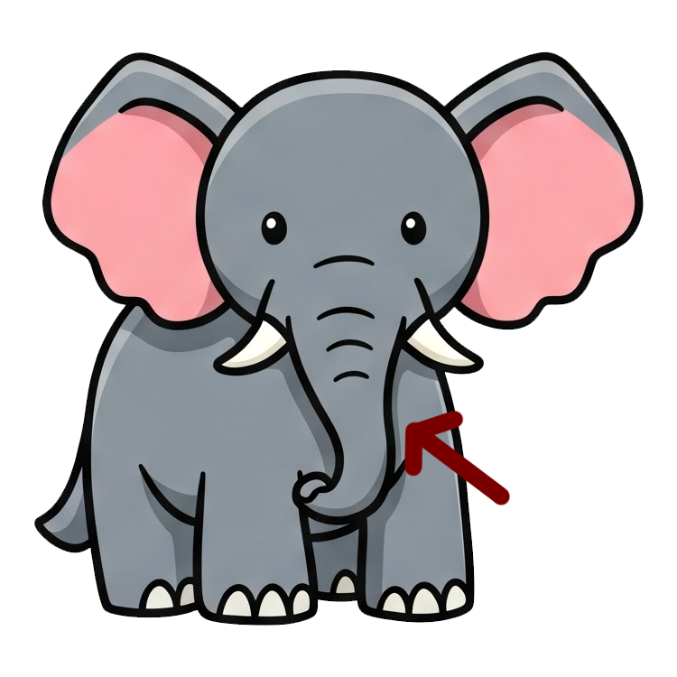 trunk แปลว่า งวงช้าง