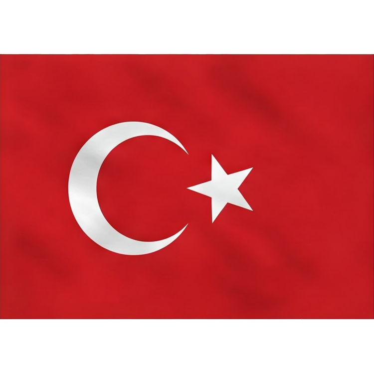 turkey แปลว่า ตุรกี