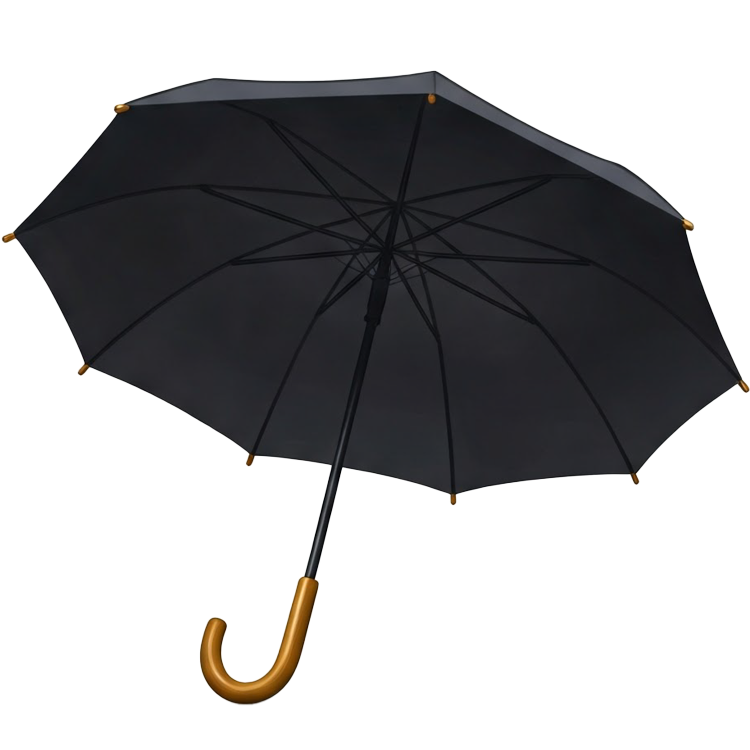 umbrella แปลว่า ร่ม