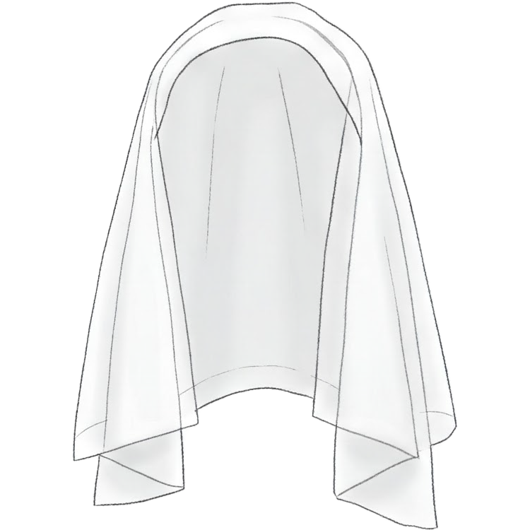 veil แปลว่า ผ้าคลุมหน้า