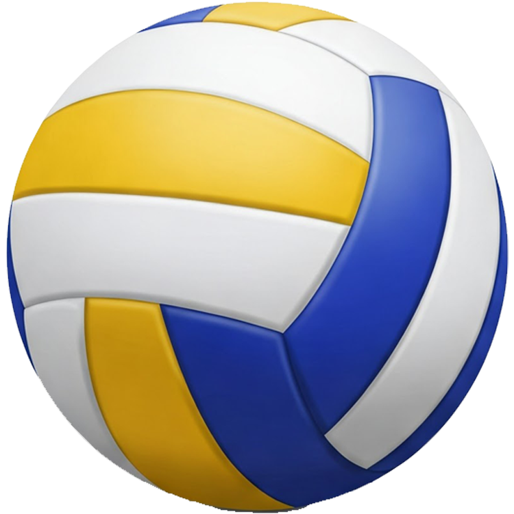 volleyball แปลว่า ลูกวอลเลย์บอล