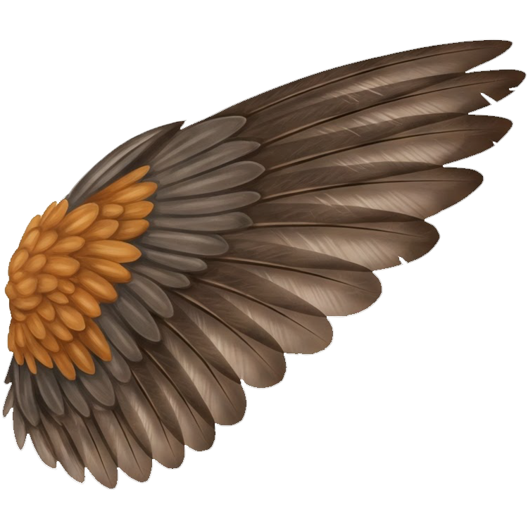 wing แปลว่า ปีก