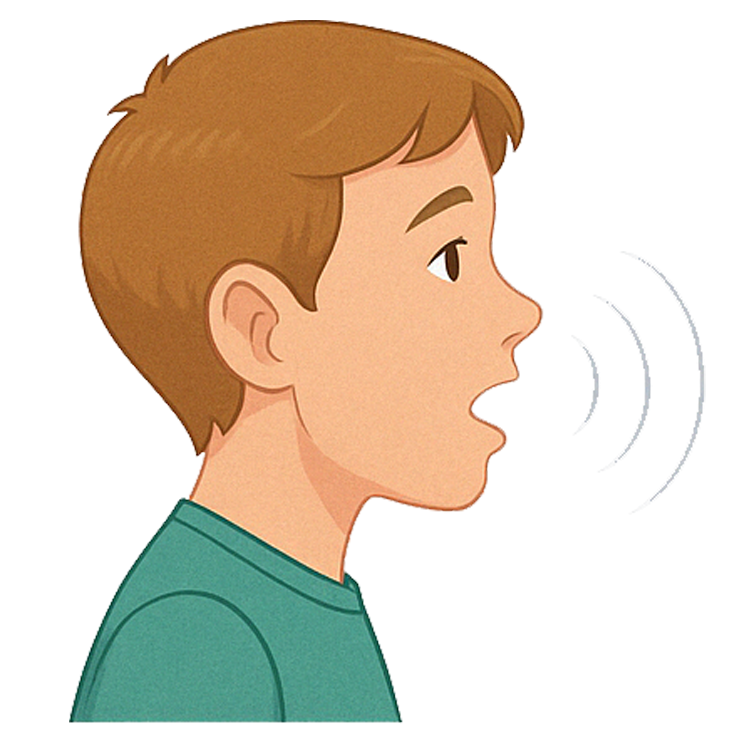 word แปลว่า พูด