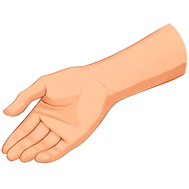 wrist แปลว่า ข้อมือ