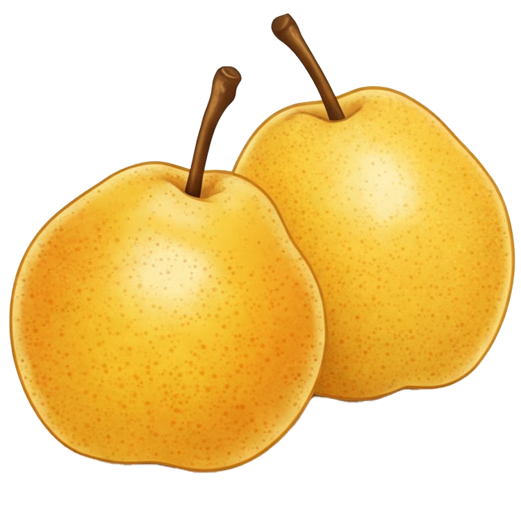 chinese pear แปลว่า สาลี่