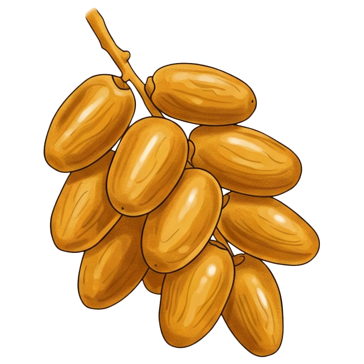 date palm แปลว่า อินทผลัม