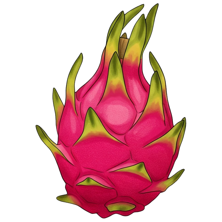 dragon fruit แปลว่า แก้วมังกร