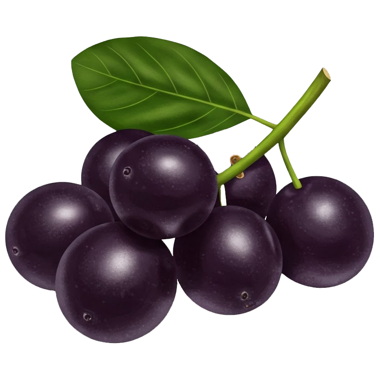 jambul แปลว่า ลูกหว้า