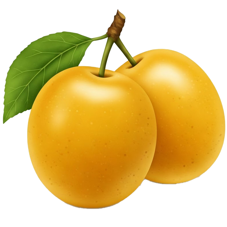 mariam plum แปลว่า มะปราง