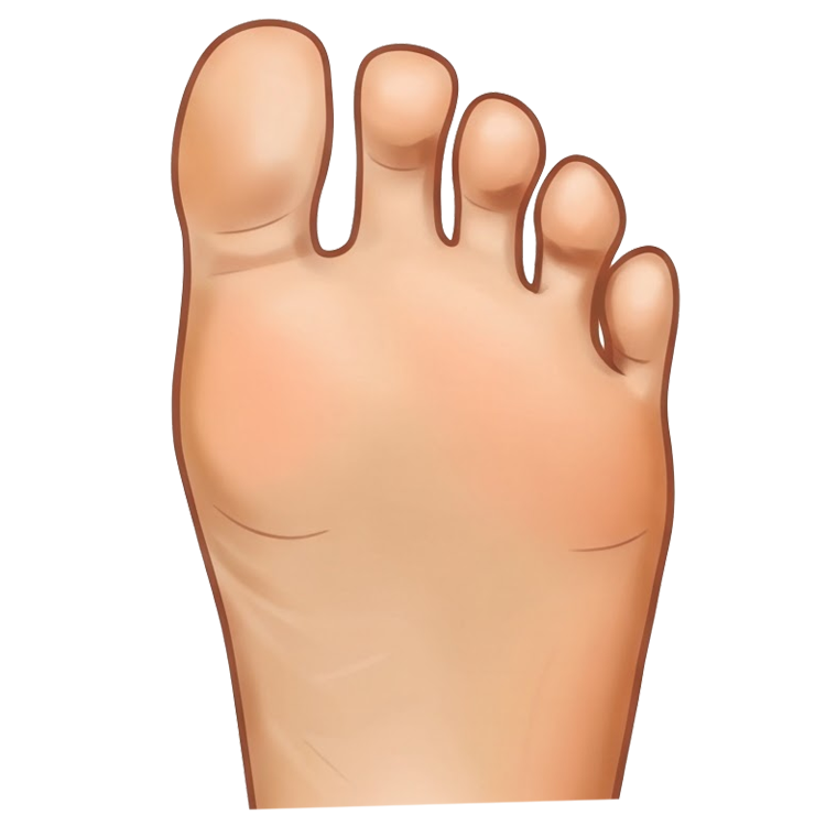 foot sole แปลว่า ฝ่าเท้า