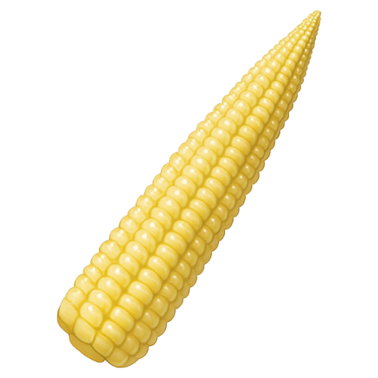 baby corn แปลว่า ข้าวโพดฝักอ่อน