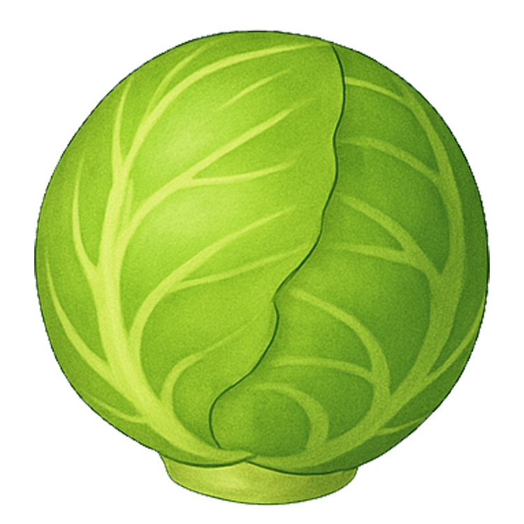 Brussels sprout แปลว่า กะหล่ำดาว