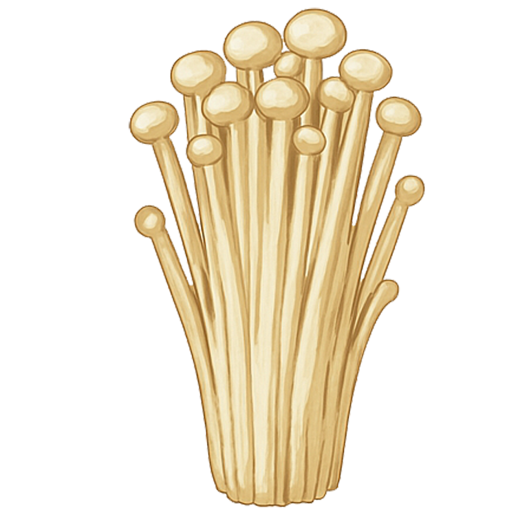 enoki mushroom แปลว่า เห็ดเข็มทอง
