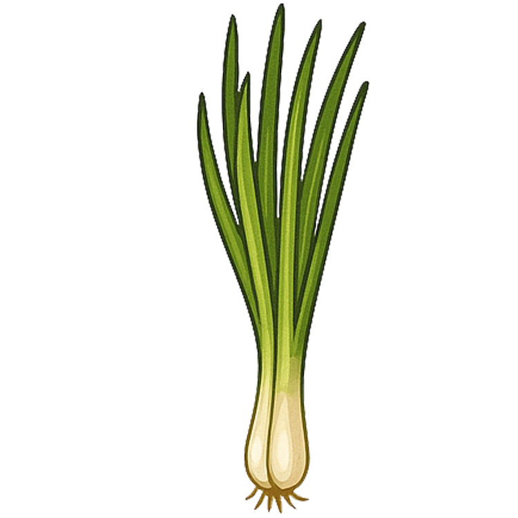 green  onion แปลว่า ต้นหอม