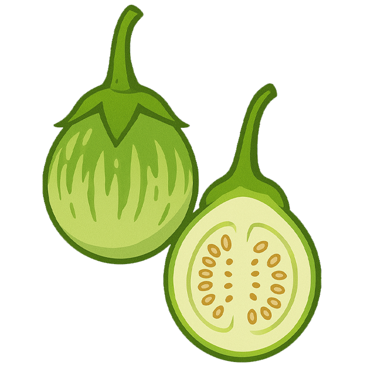 pea eggplant แปลว่า มะเขือเปราะ