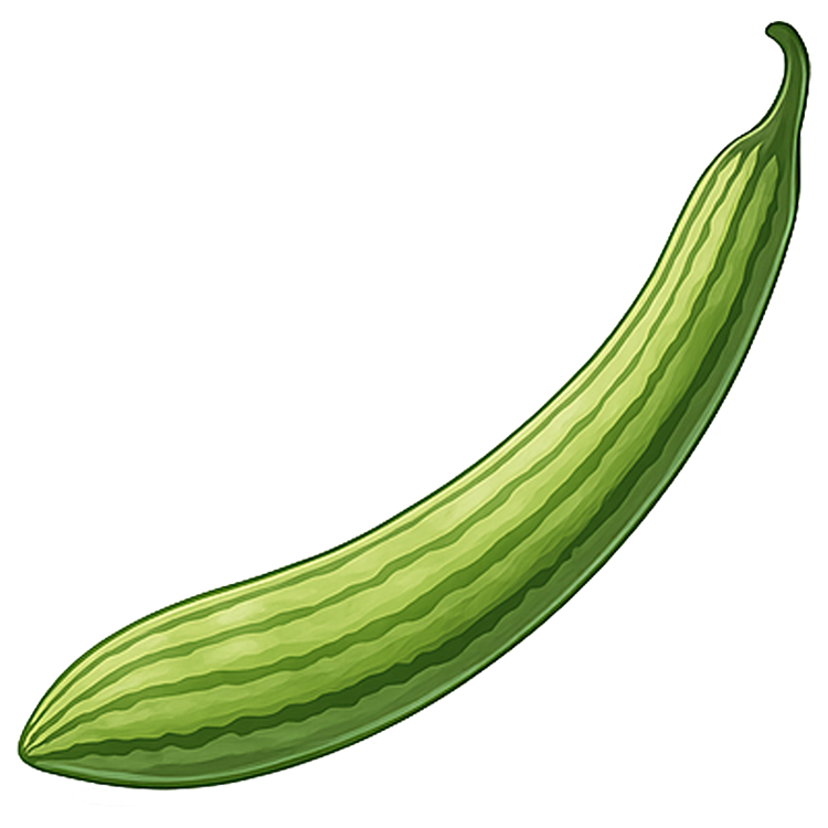 snake gourd แปลว่า บวบงู