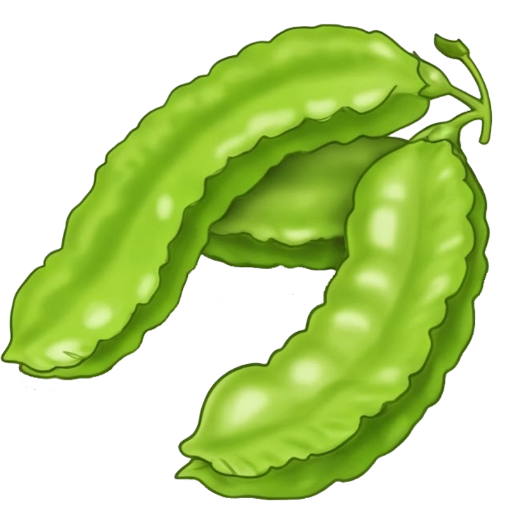 winged bean แปลว่า ถั่วพู