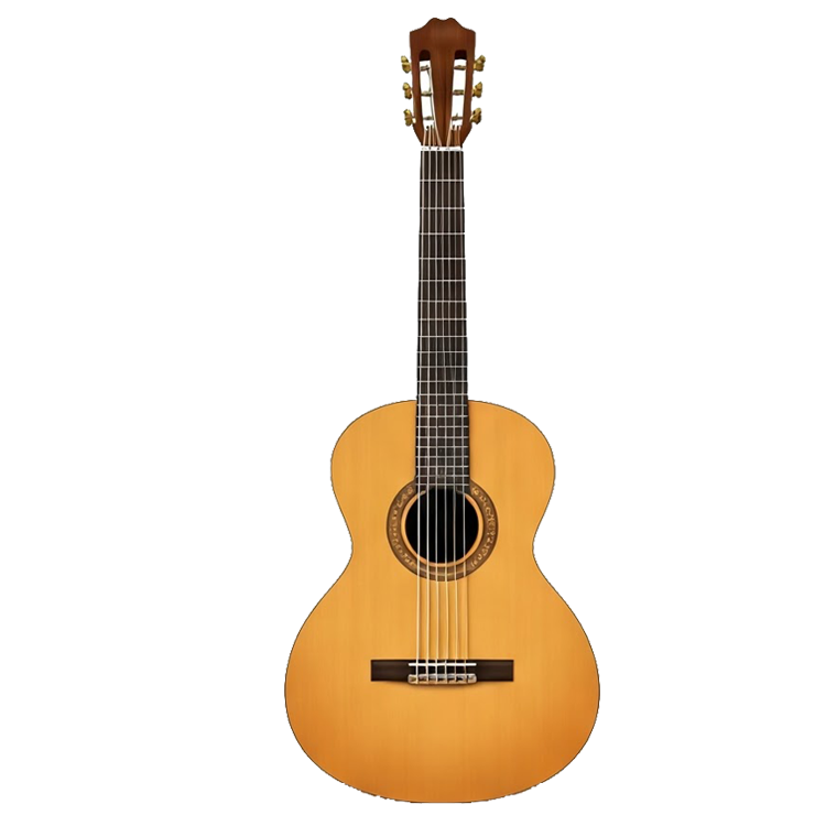 classical guitar แปลว่า กีตาร์คลาสสิค