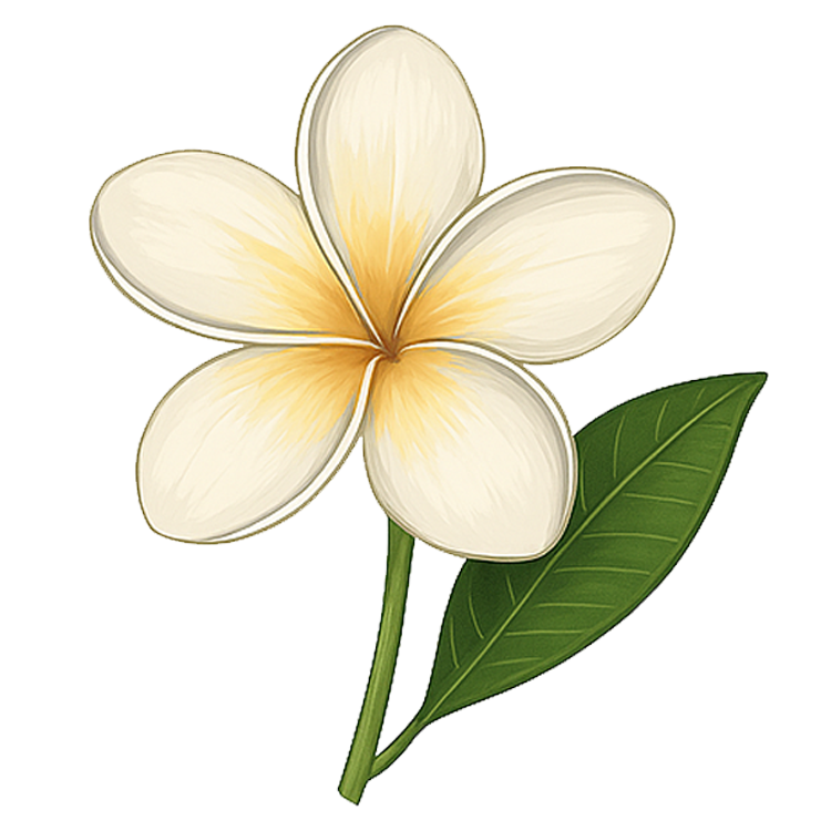 temple flower แปลว่า ดอกลั่นทม