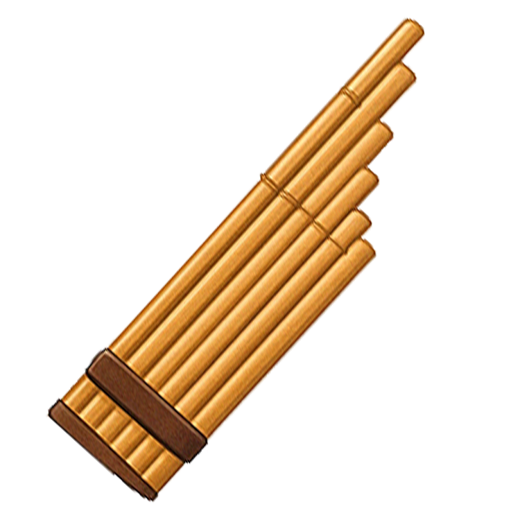 bamboo mouth organ แปลว่า แคน