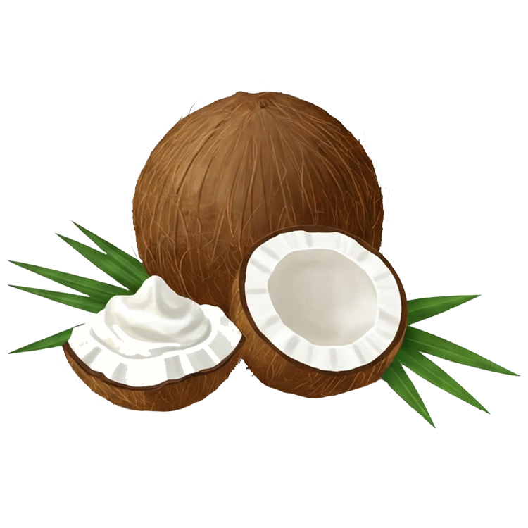 coconut cream แปลว่า กะทิ